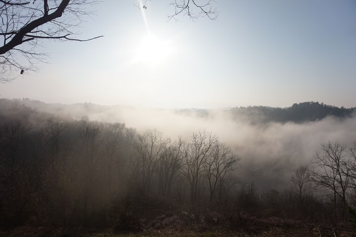 couple friendly vacation homes Marshall NC